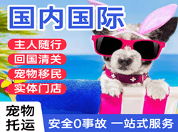 张孝机场货运国际宠物托运 【国